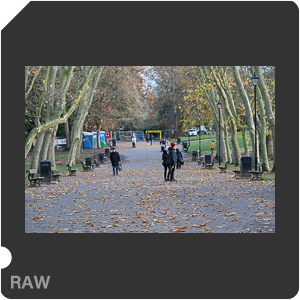 RAW sample
