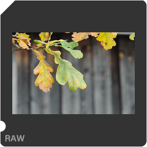 RAW sample