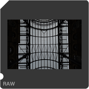 RAW sample