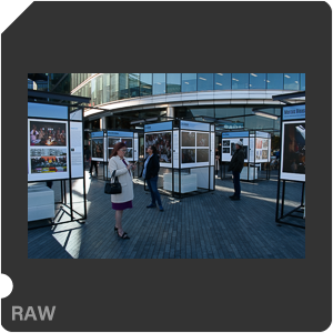 Камера Nikon D3500 с объективом AF-P DX Nikkor 18-55mm F/3.5-5.6G VR. Примеры RAW файлов