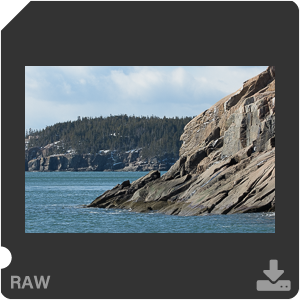 Nikon D500 с объективом AF-S Nikkor 180-400mm f/4.0E TC1.4 FL ED VR. Примеры RAW файлов