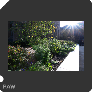 Камера Nikon Z 6 с объективом Nikkor Z 24-70mm f/4 S. Примеры RAW файлов