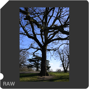 RAW sample