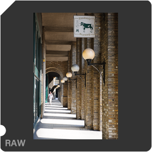 Nikon D3X Camera with AF-S Nikkor 24-70mm f/2.8G ED. Examples of RAW files