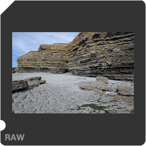 Камера Nikon D500 с объективом AF-S DX Nikkor 16-80mm f/2.8-4E ED VR. Примеры RAW файлов