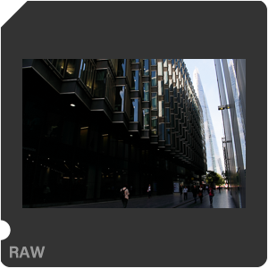 Камера Nikon D3400 с объективом AF-P DX Nikkor 18-55mm f/3.5-5.6G. Примеры RAW файлов