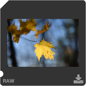 Камера Nikon Z 7II с объективом Nikkor Z 50 mm f/1.2 S. Примеры RAW файлов