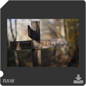 Камера Nikon Z 7II с объективом Nikkor Z 50 mm f/1.2 S. Примеры RAW файлов