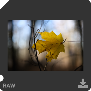 Камера Nikon Z 7II с объективом Nikkor Z 50 mm f/1.2 S. Примеры RAW файлов