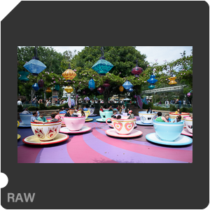 Камера Nikon 1 J5 с объективом 1 Nikkor VR 10-30mm f/3.5-5.6 PD-Zoom. Примеры RAW файлов