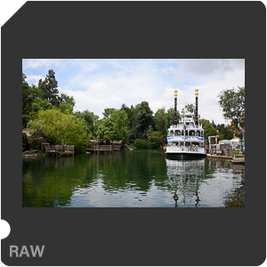 Камера Nikon 1 J5 с объективом 1 Nikkor VR 10-30mm f/3.5-5.6 PD-Zoom. Примеры RAW файлов