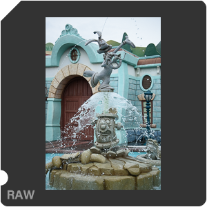 Камера Nikon 1 J5 с объективом 1 Nikkor VR 10-30mm f/3.5-5.6 PD-Zoom. Примеры RAW файлов