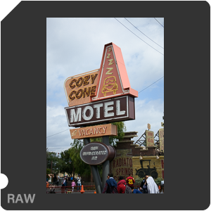 Камера Nikon 1 J5 с объективом 1 Nikkor VR 10-30mm f/3.5-5.6 PD-Zoom. Примеры RAW файлов