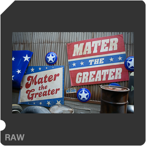 Камера Nikon 1 J5 с объективом 1 Nikkor VR 10-30mm f/3.5-5.6 PD-Zoom. Примеры RAW файлов