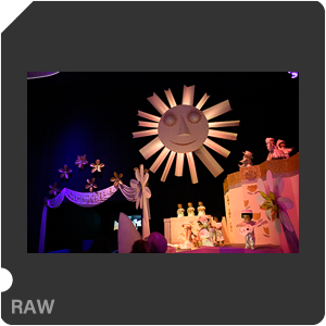 Камера Nikon 1 J5 с объективом 1 Nikkor VR 10-30mm f/3.5-5.6 PD-Zoom. Примеры RAW файлов