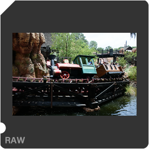 Камера Nikon 1 J5 с объективом 1 Nikkor VR 10-30mm f/3.5-5.6 PD-Zoom. Примеры RAW файлов