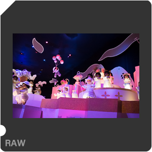 Камера Nikon 1 J5 с объективом 1 Nikkor VR 10-30mm f/3.5-5.6 PD-Zoom. Примеры RAW файлов