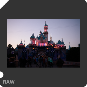 Камера Nikon 1 J5 с объективом 1 Nikkor VR 10-30mm f/3.5-5.6 PD-Zoom. Примеры RAW файлов