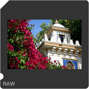 Камера Nikon 1 J5 с объективом 1 Nikkor VR 10-30mm f/3.5-5.6 PD-Zoom. Примеры RAW файлов