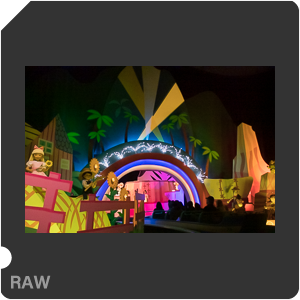 Камера Nikon 1 J5 с объективом 1 Nikkor VR 10-30mm f/3.5-5.6 PD-Zoom. Примеры RAW файлов