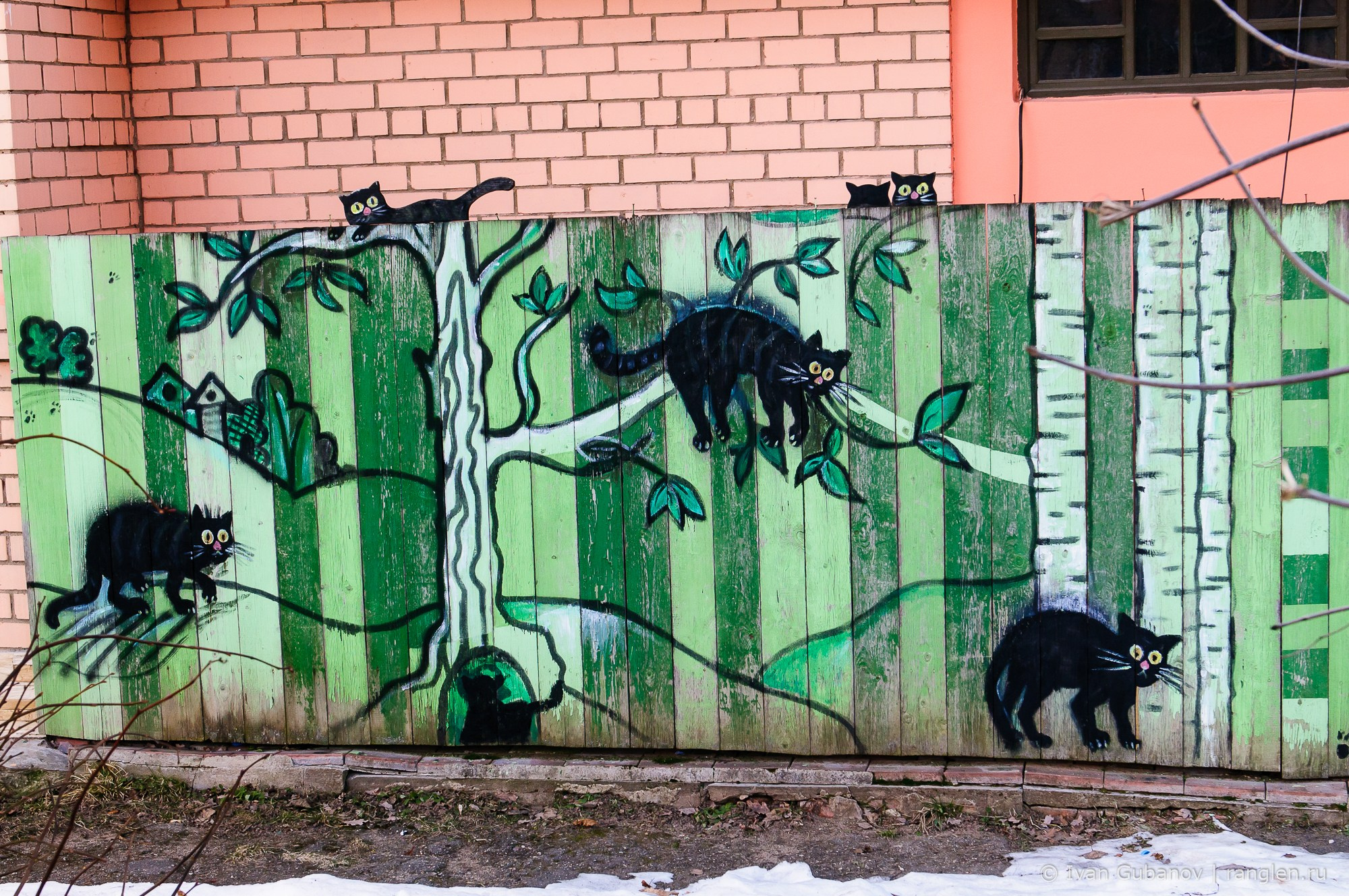 Путешествие в Дмитров. Фотограф Иван Губанов