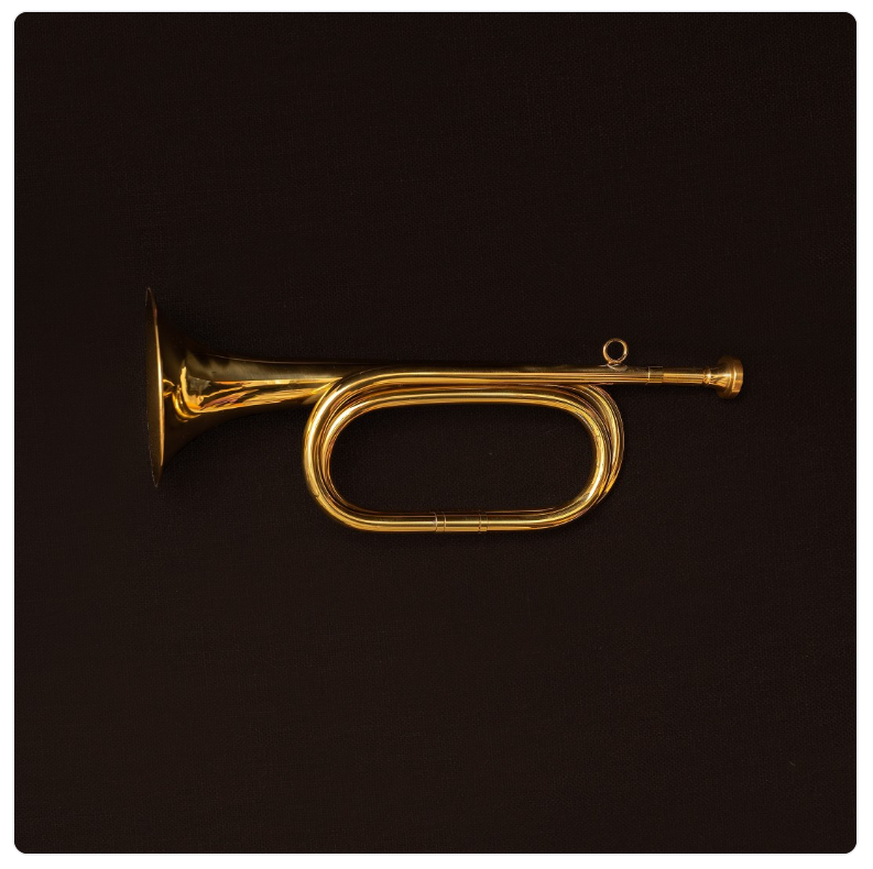 Editorial. Ksenia Inverse visual artist