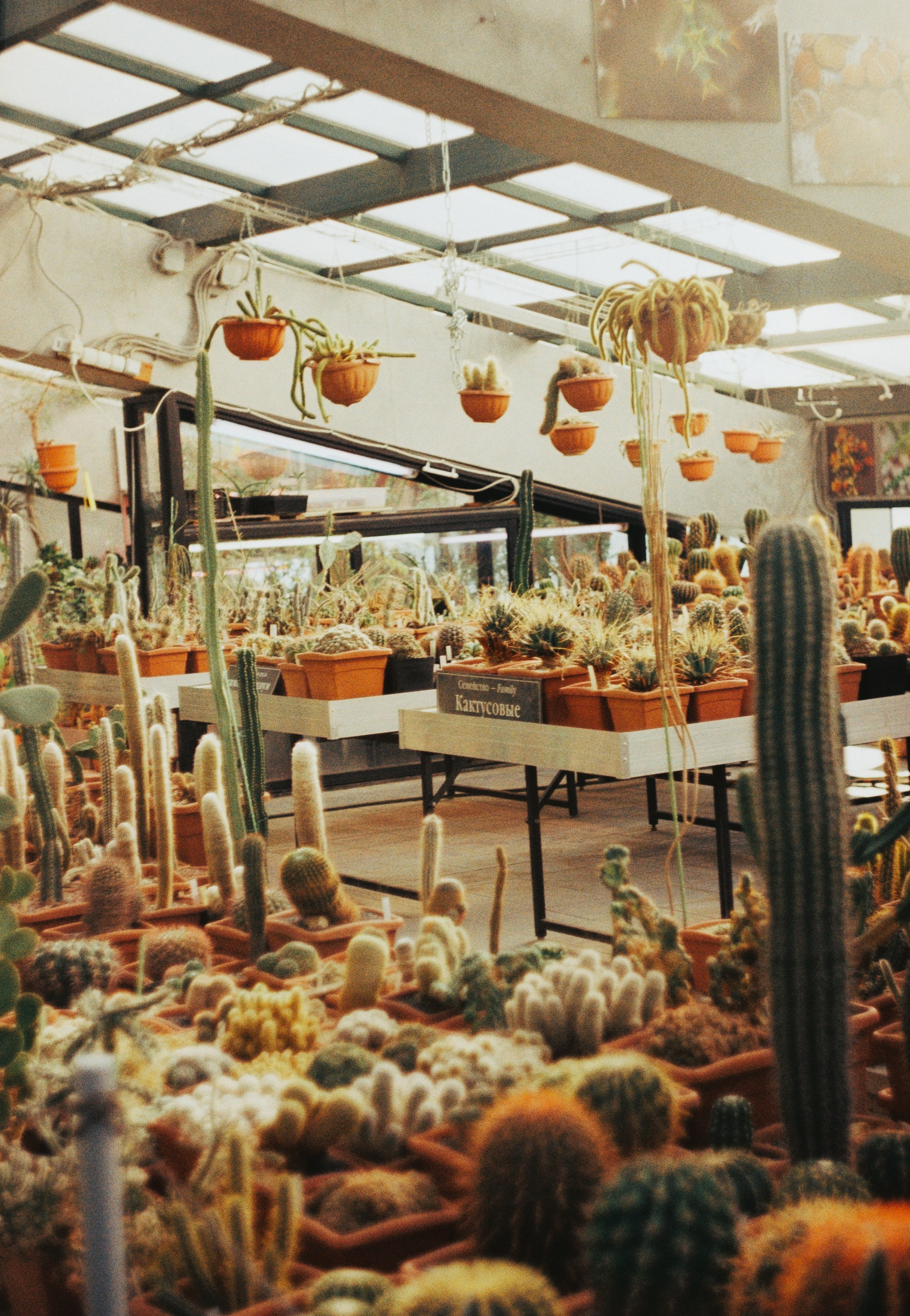 Первые кадры на пленку. Фотограф из Москвы — DASHA NOVA | Авторская фотография в разных жанрах