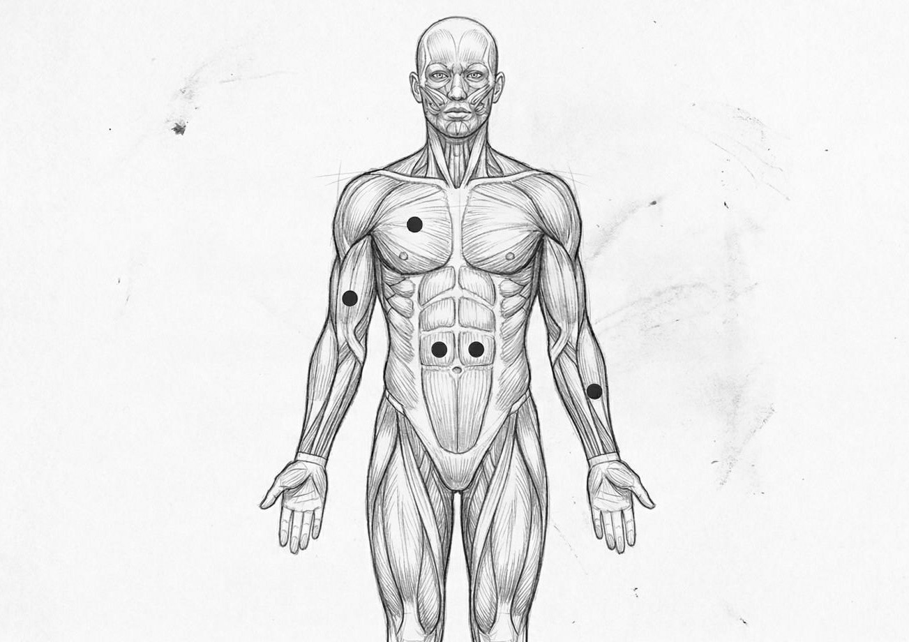 Услуги. The Andris