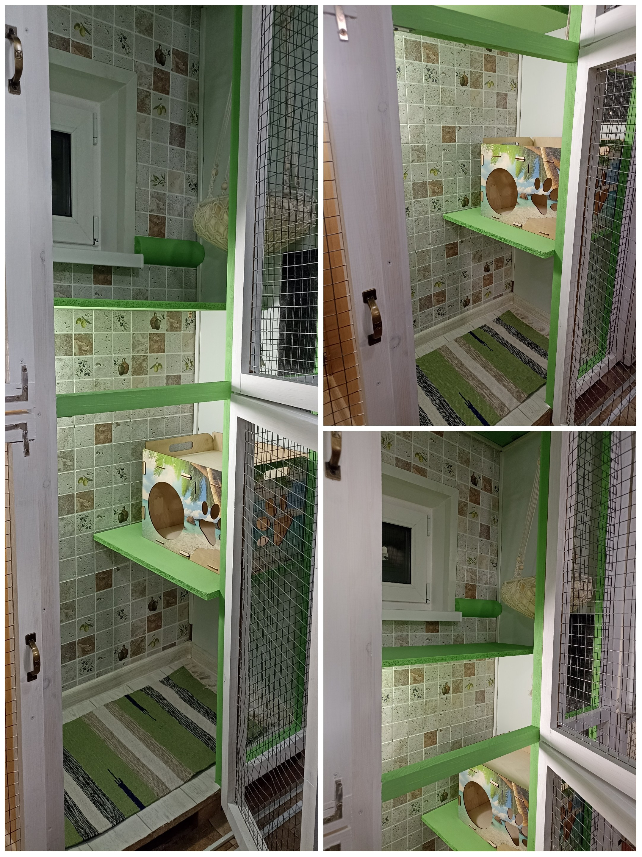 Услуги. Гостиница для кошек Усики и хвостики, Красноярск