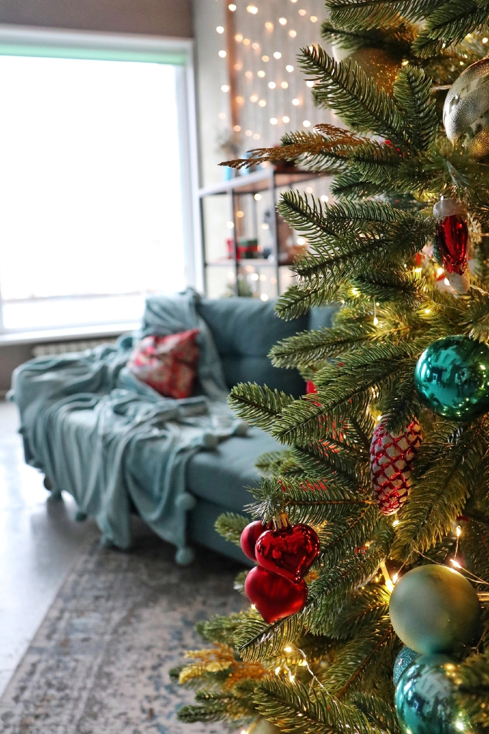 Новогодний фото день (1). Фотограф Надежда Сухомлина