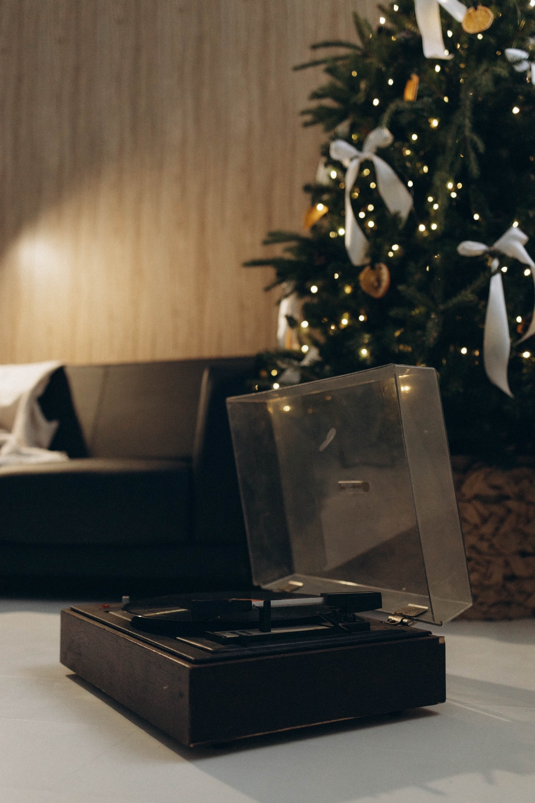 Новогодняя экспресс фотосессия. Фотограф Надежда Сухомлина