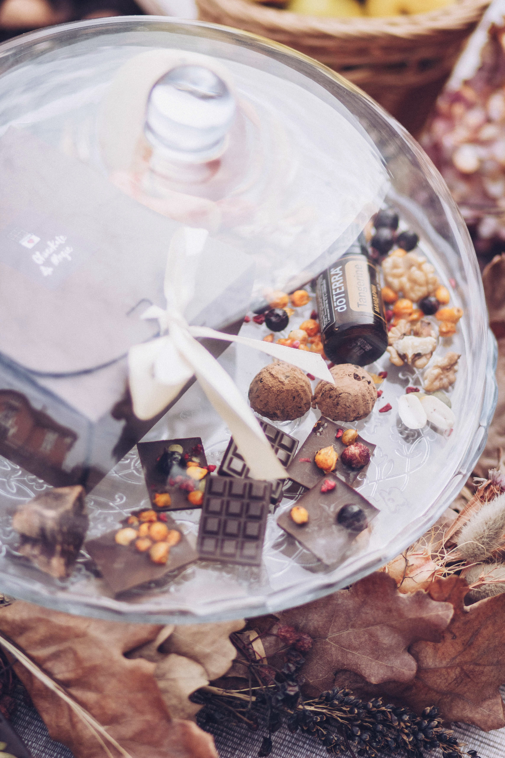 Шоколадная магия. Семейный фотограф Екатеринбург Черепанова Олеся