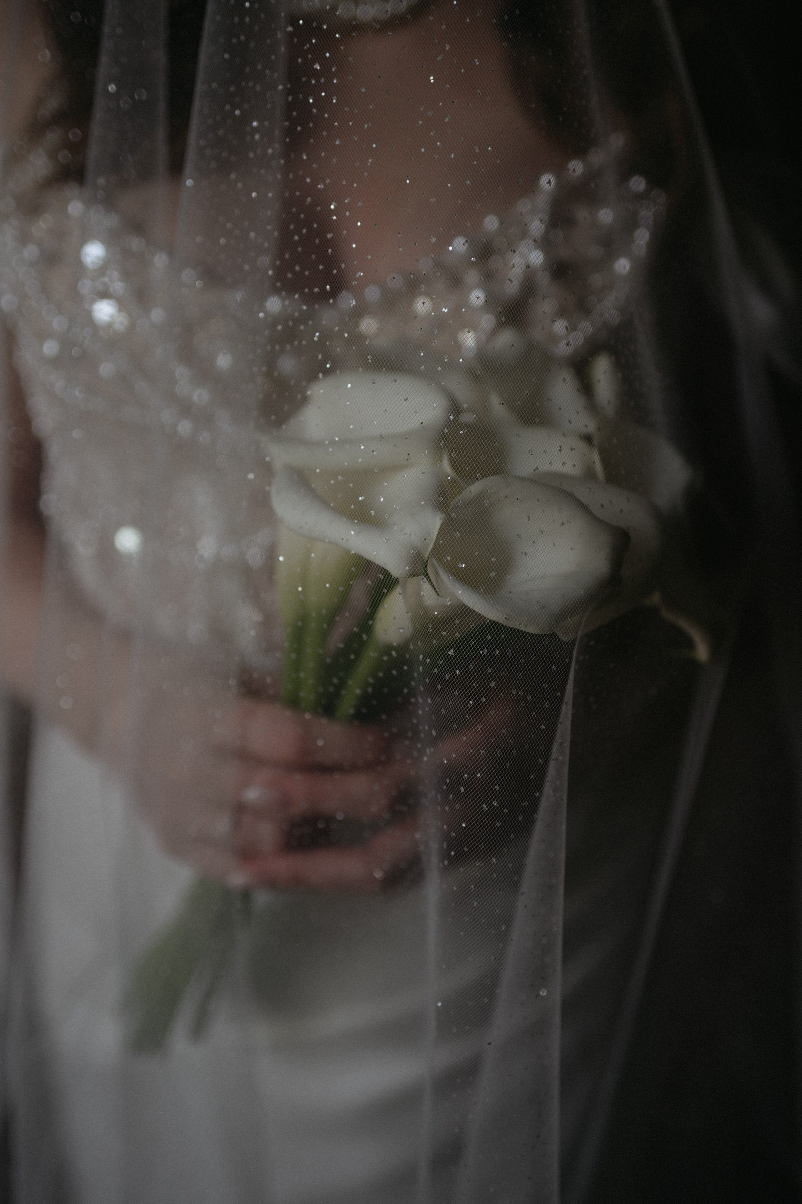 свадебная фотосессия в Доме Архитектора, свадебная фотосессия в особняке Половцева