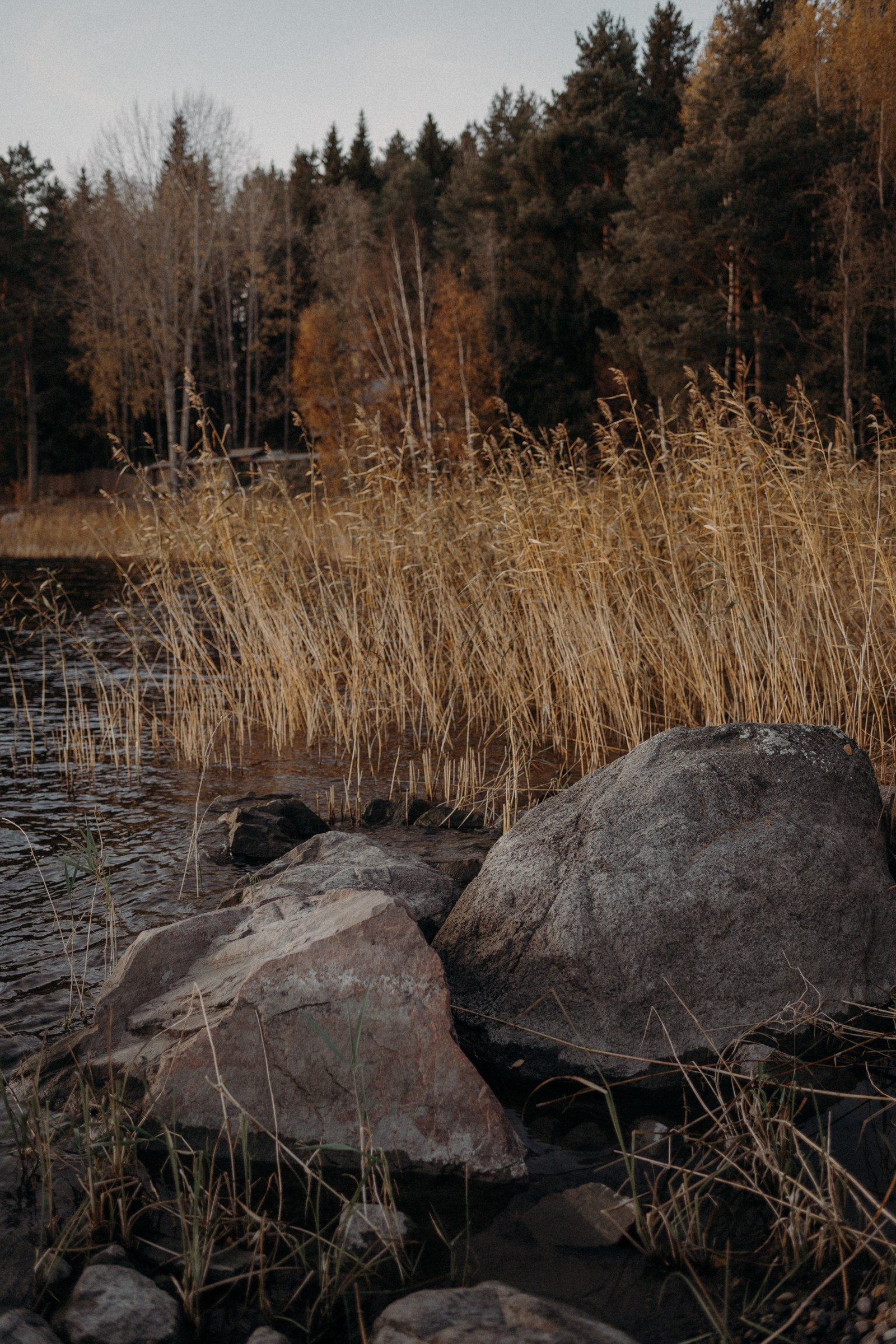Осенняя поездка в Карелию. Свадебный фотограф в Санкт-Петербурге Венера Ахметова