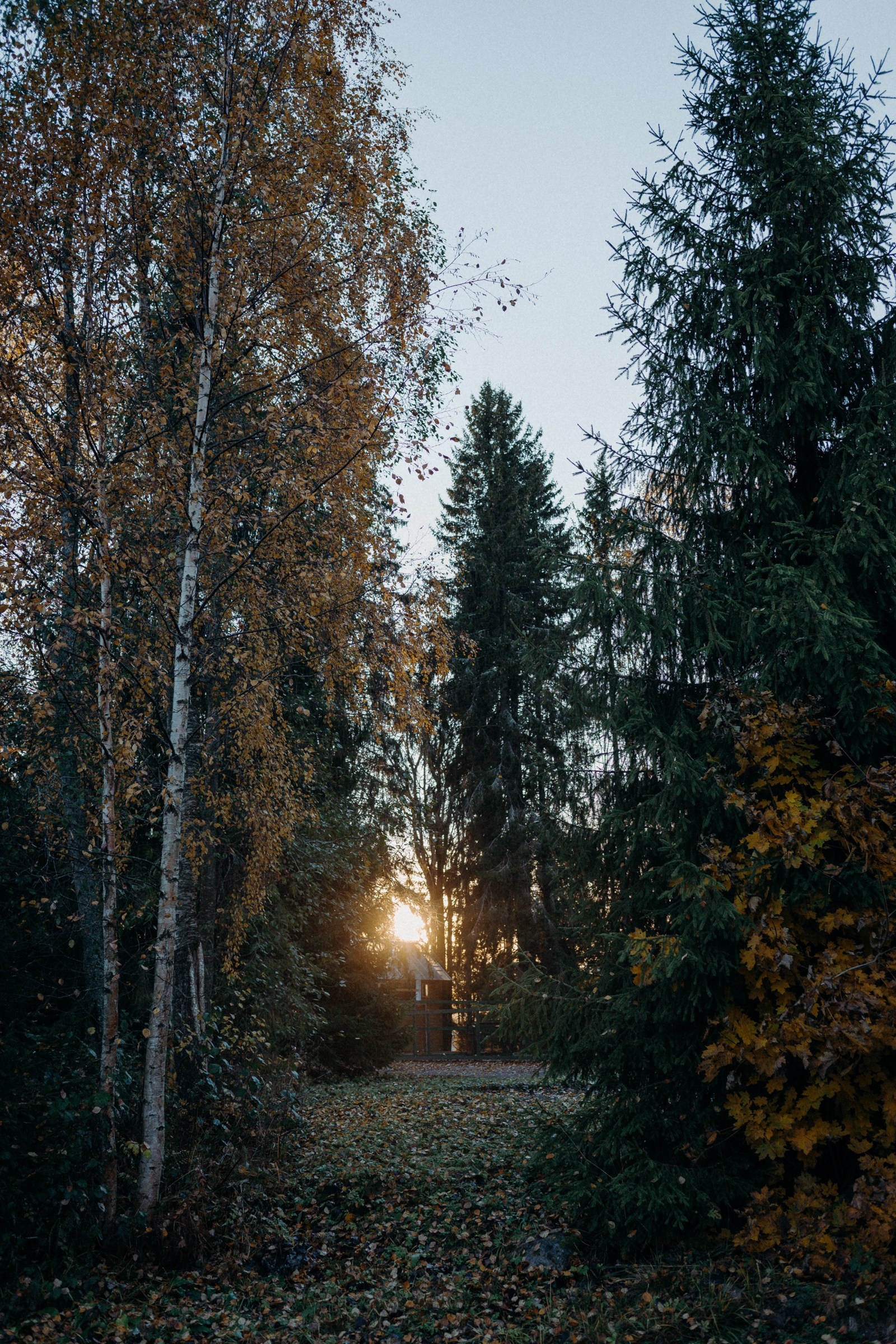Осенняя поездка в Карелию. Свадебный фотограф в Санкт-Петербурге Венера Ахметова
