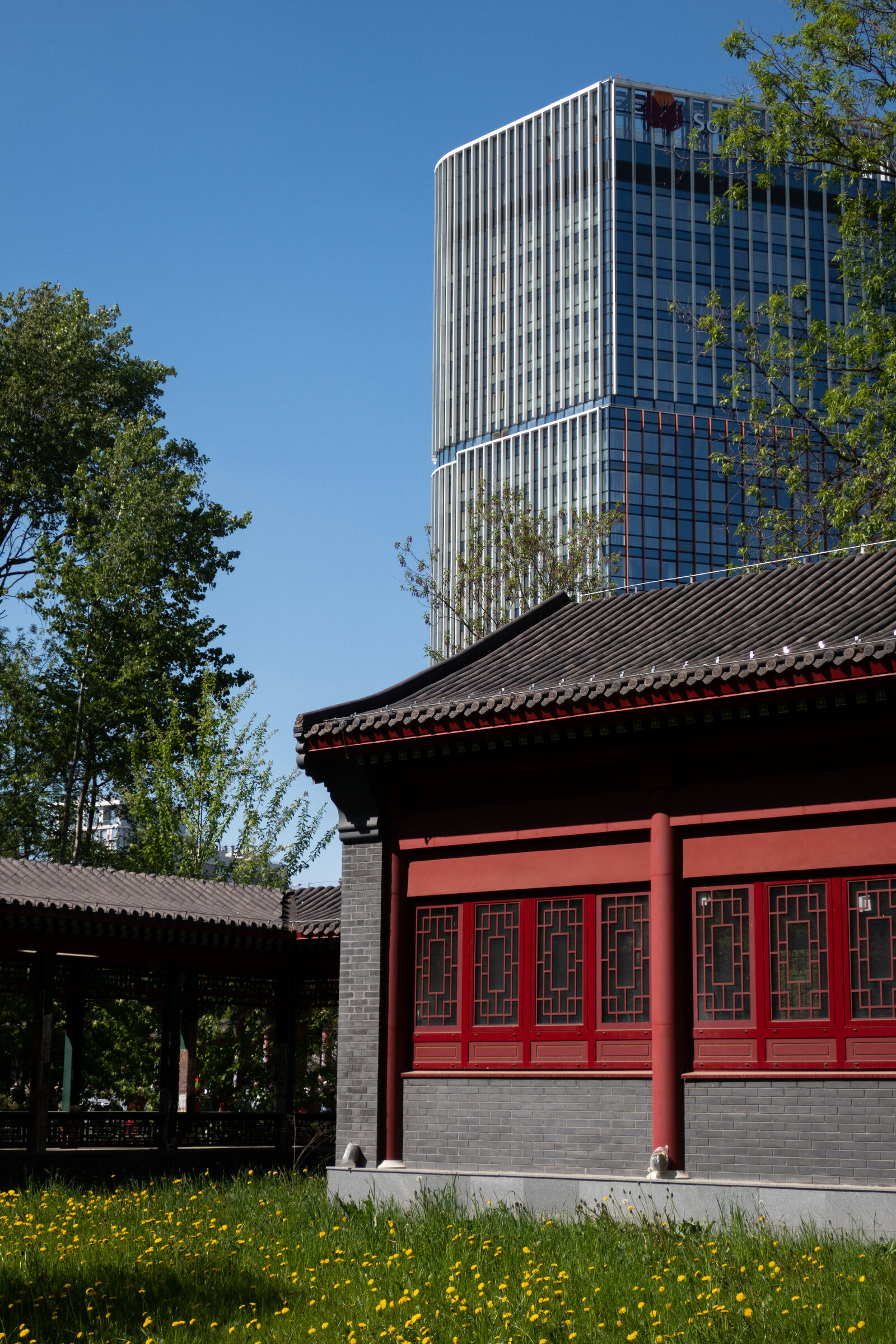 Фотопрогулка по китайскому парку «Хуамин» в Москве. Проект «Фотокладовка»: блог уличной фотографии в формате street photo