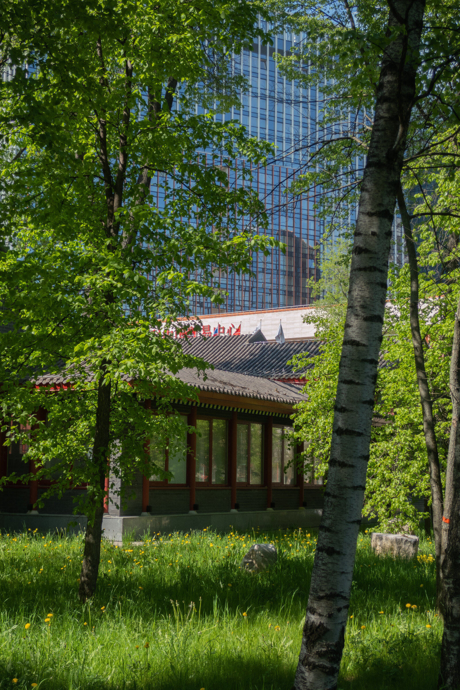 Фотопрогулка по китайскому парку «Хуамин» в Москве. Проект «Фотокладовка»: блог уличной фотографии в формате street photo