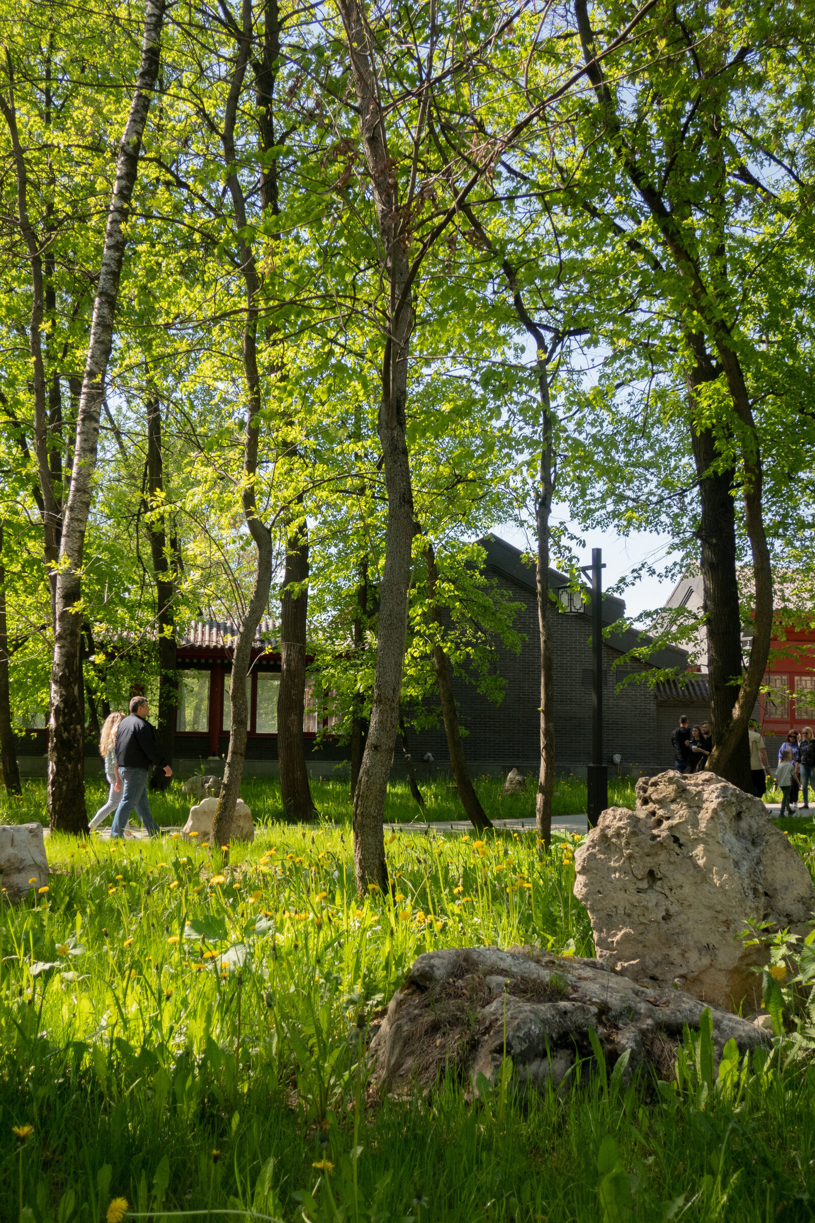 Фотопрогулка по китайскому парку «Хуамин» в Москве. Проект «Фотокладовка»: блог уличной фотографии в формате street photo