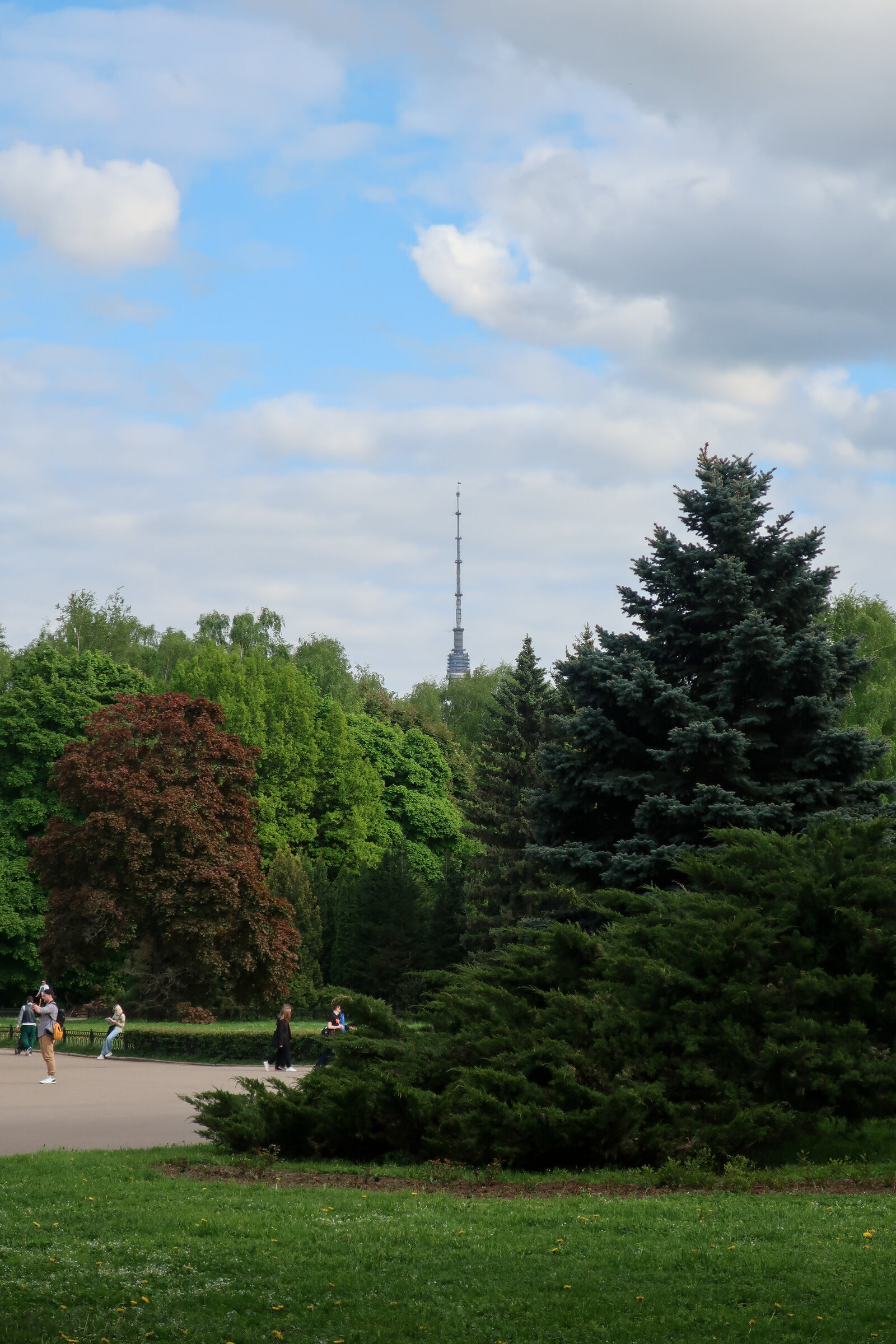 Фотопрогулка по Главному ботаническому саду им. Цицина в Москве. Проект «Фотокладовка»: блог уличной фотографии в формате street photo