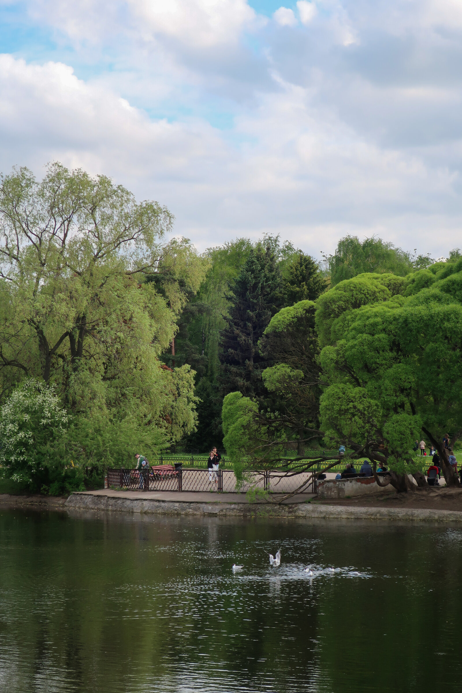 Фотопрогулка по Главному ботаническому саду им. Цицина в Москве. Проект «Фотокладовка»: блог уличной фотографии в формате street photo