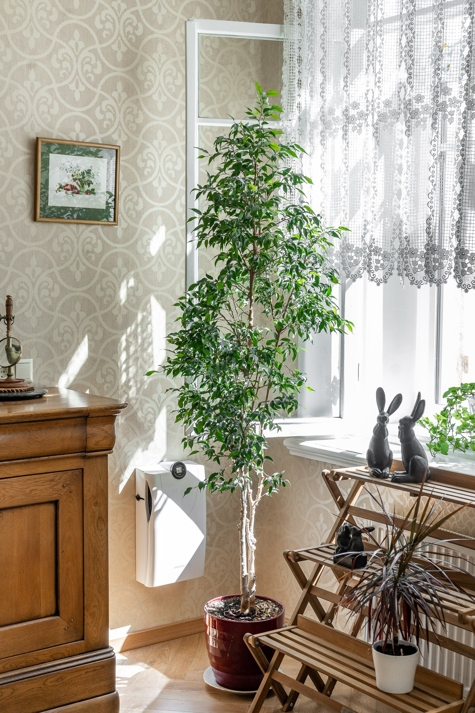 Интерьерная фотосьемка