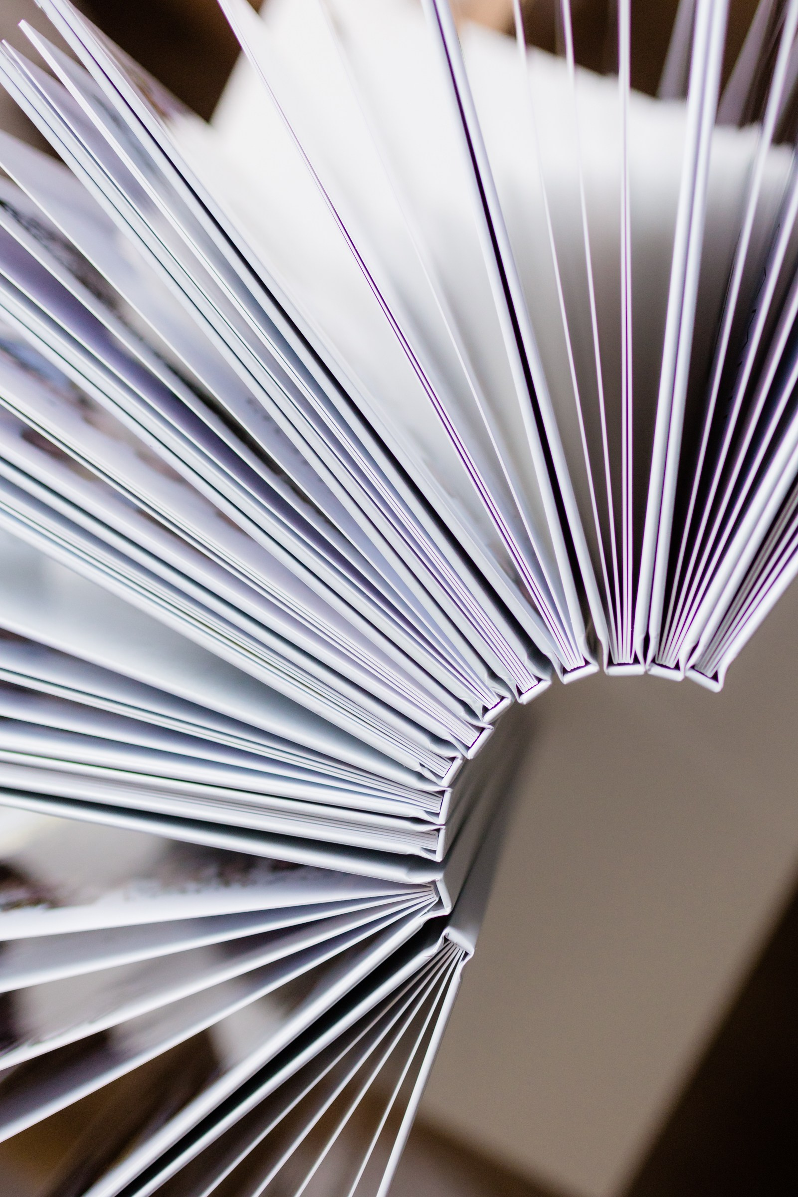 Примеры дизайна. Фотограф Лодейное Поле Екатерина Герасимова в Санкт-Петербурге и Лен. области