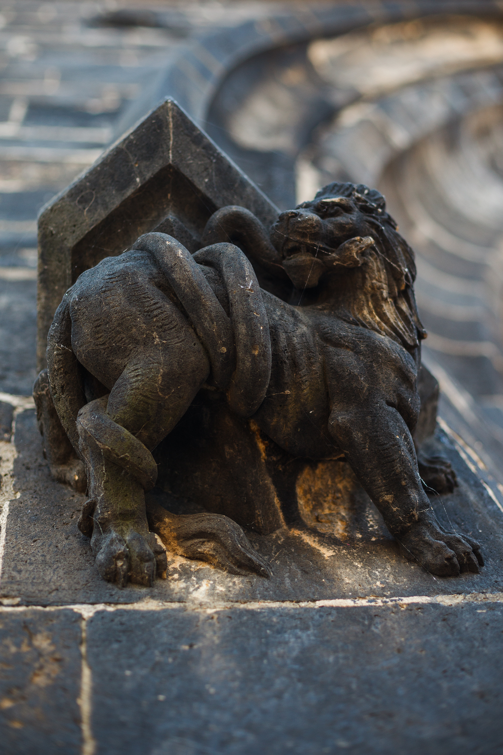 Это Прага. Евгения Орлова