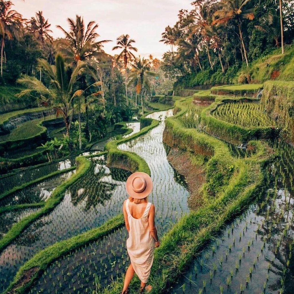 ТУР НА БАЛИ. INNERBLOOM TRAVEL-путешествия для авантюристов, мечтателей и настоящих гурманов по России и миру