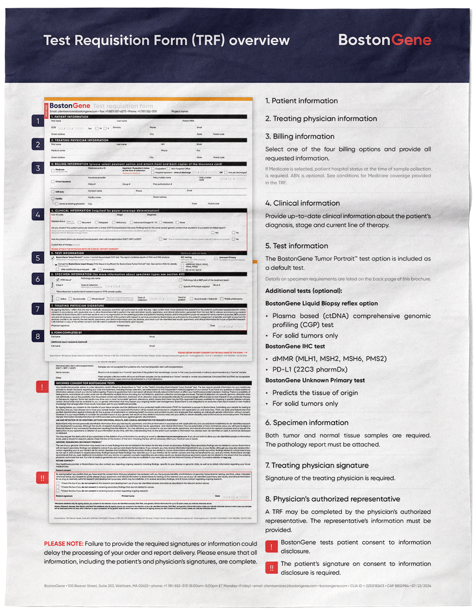 BostonGene documents. Aleksandra Bulgakova, packaging and identity