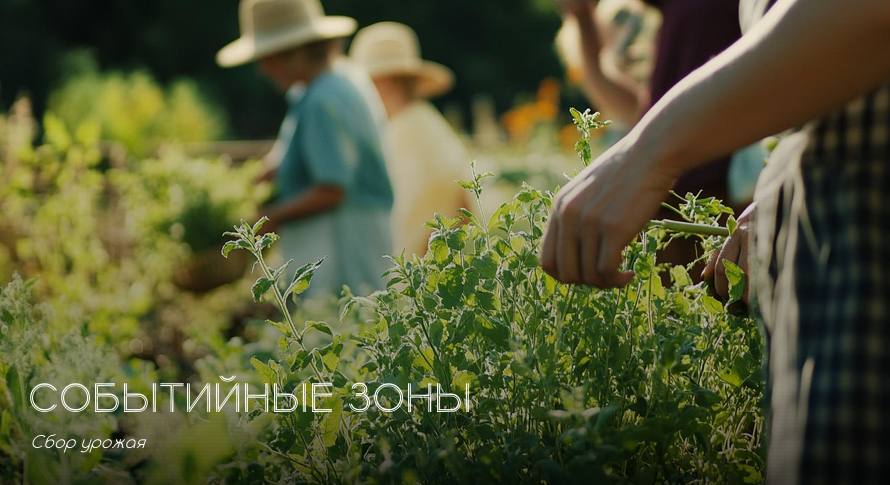 Лавандовая долина