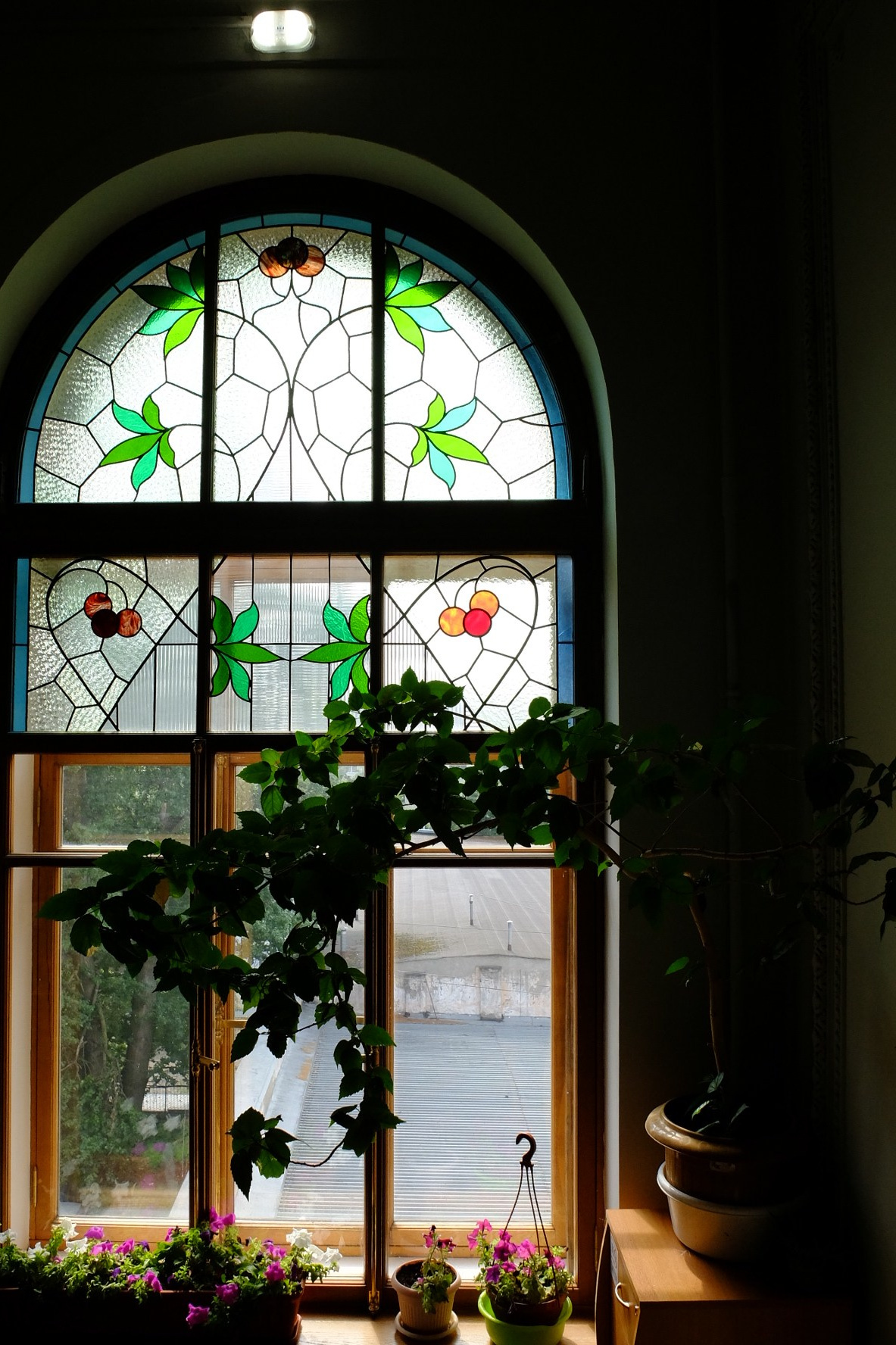 Форма для печенья № 4. Метлахская плитка парадных Санкт-Петербурга