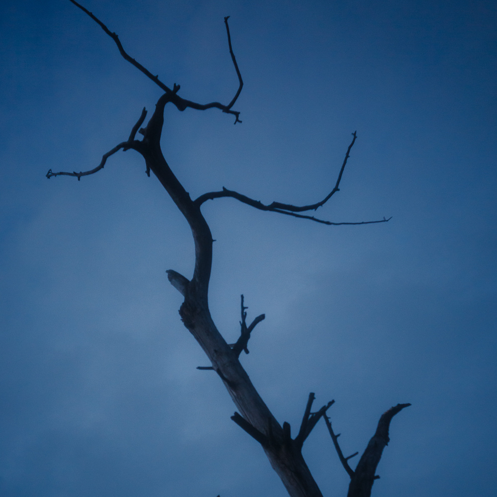 Выставка Невидимые города с 23 августа по 23 октября