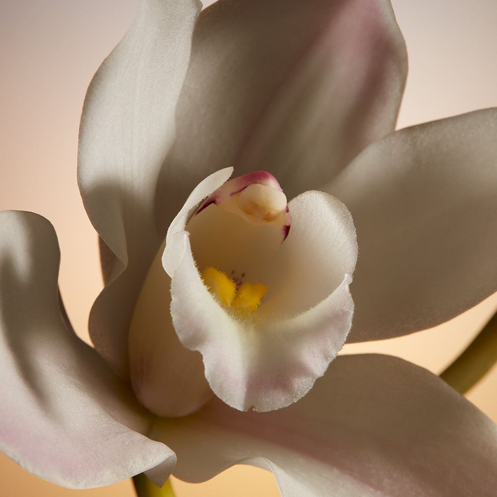 Услуги. МИ | графический дизайн с @lenaumu