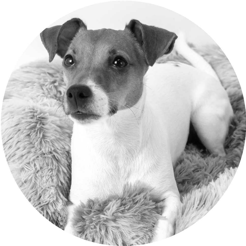 Модельная съемка. Leclerc-studio